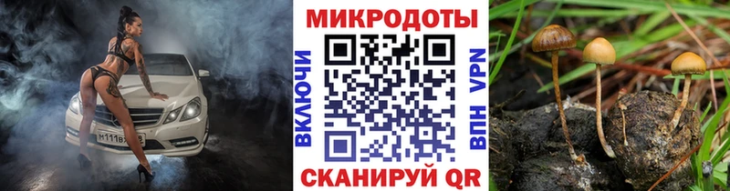 Псилоцибиновые грибы Magic Shrooms  Карабулак 